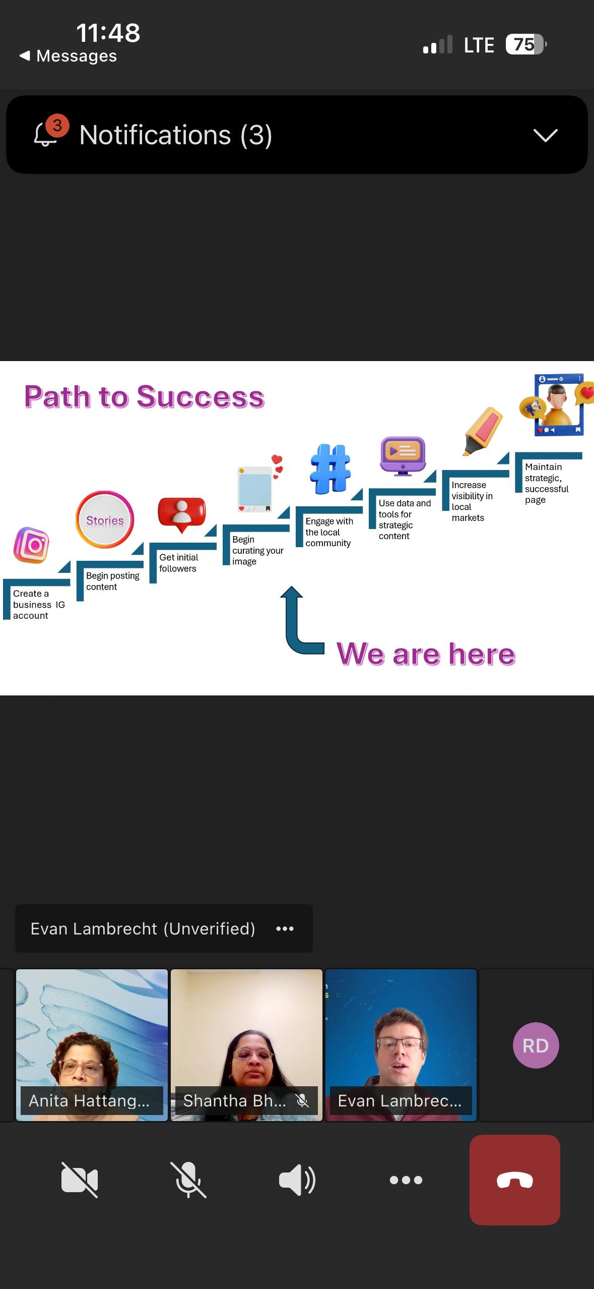 Video call with a 'Path to Success' diagram about Instagram marketing