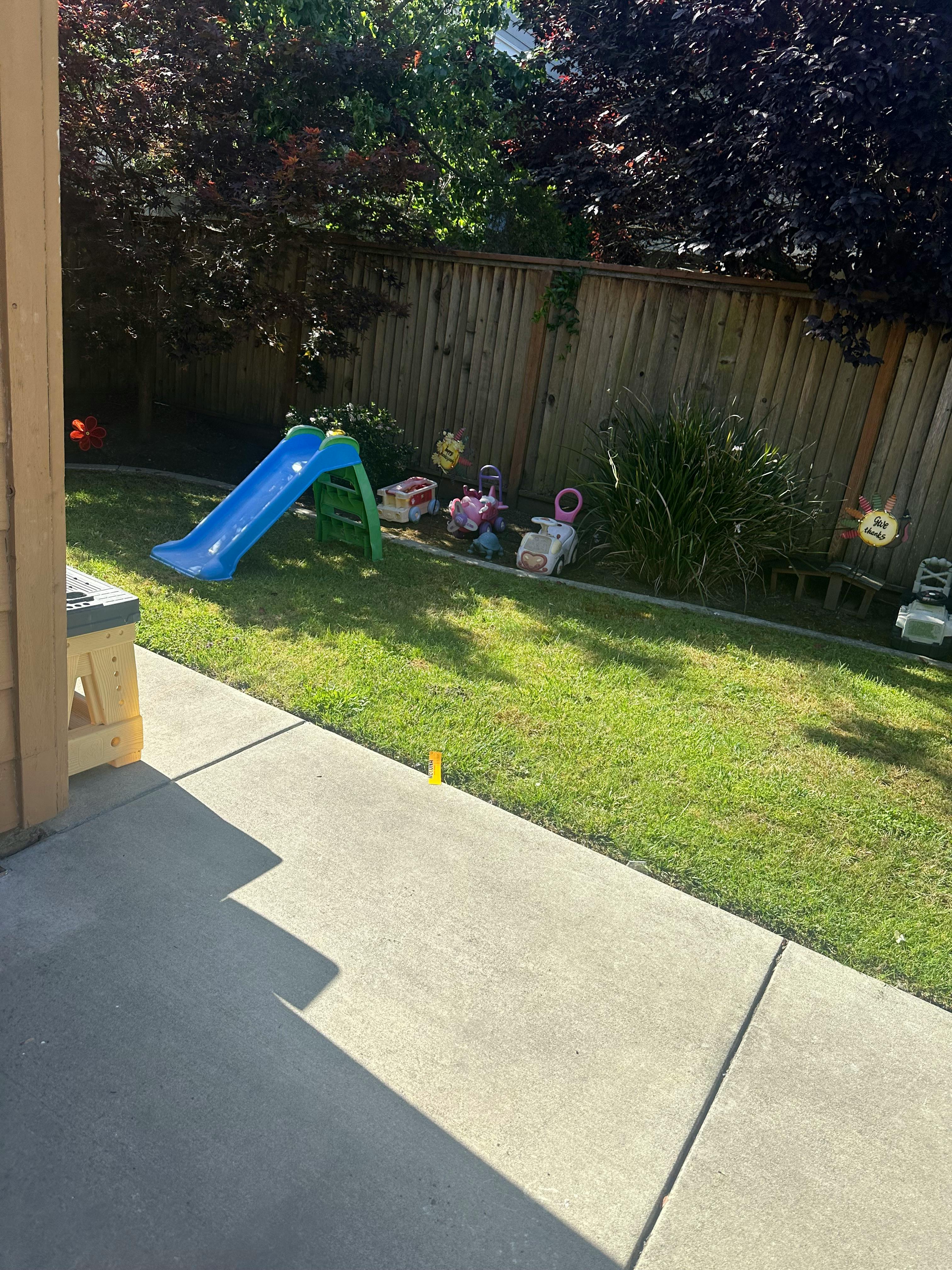 Blue and green slide in a grassy backyard with a wooden fence