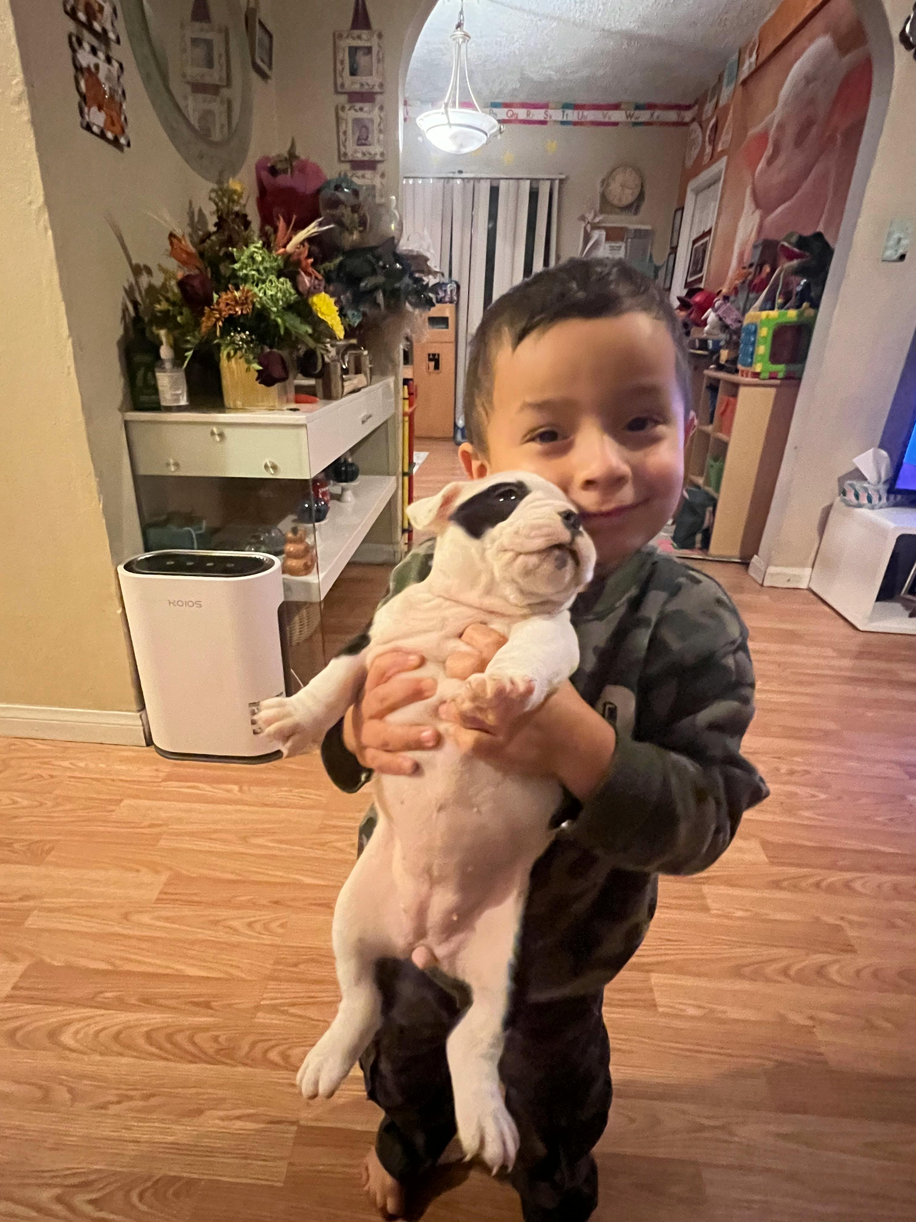 Child holding a puppy