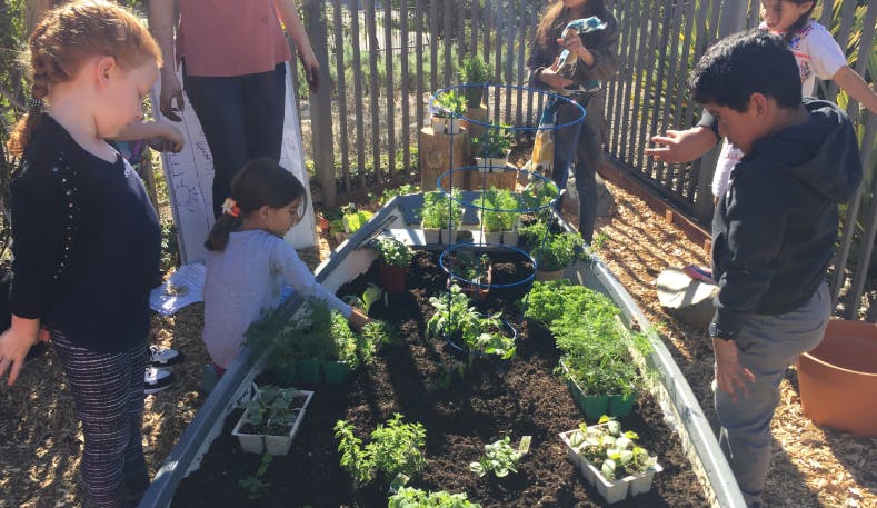 Children planting in a garden bed