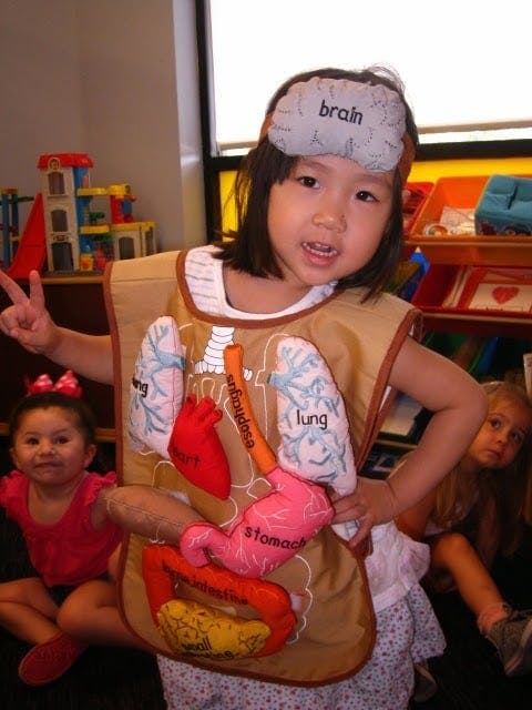 Child wearing a costume with internal organs and a "brain" headband