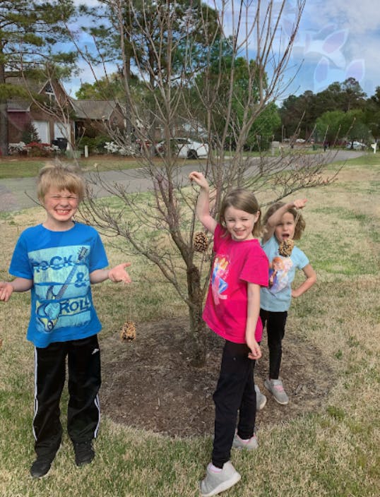 Three children standing around a small tree outdoors