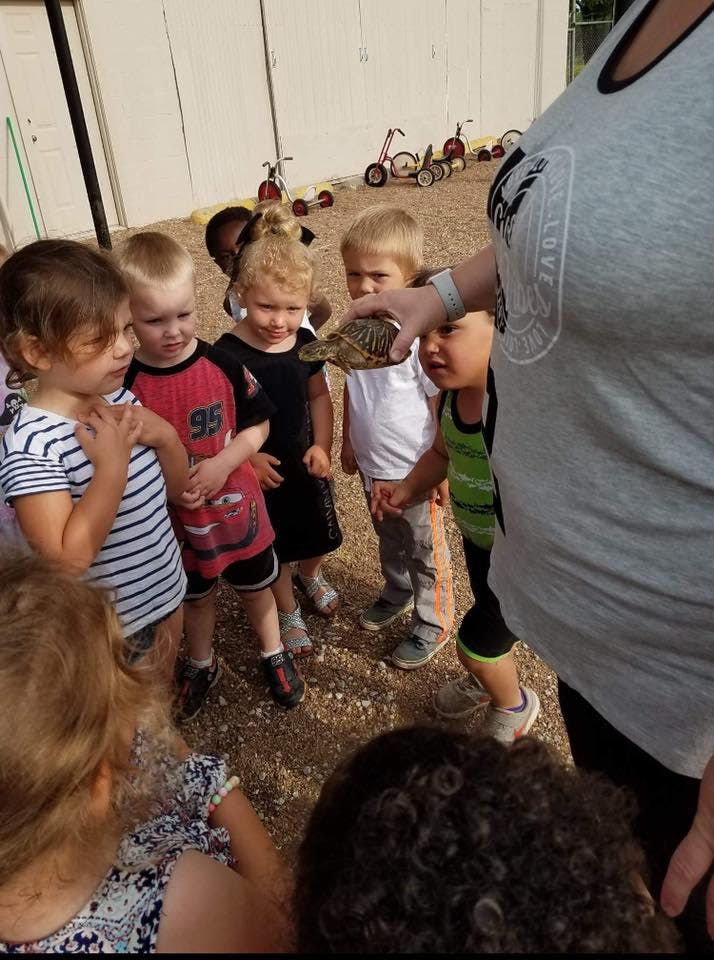 Person holding a turtle for a group of children to see