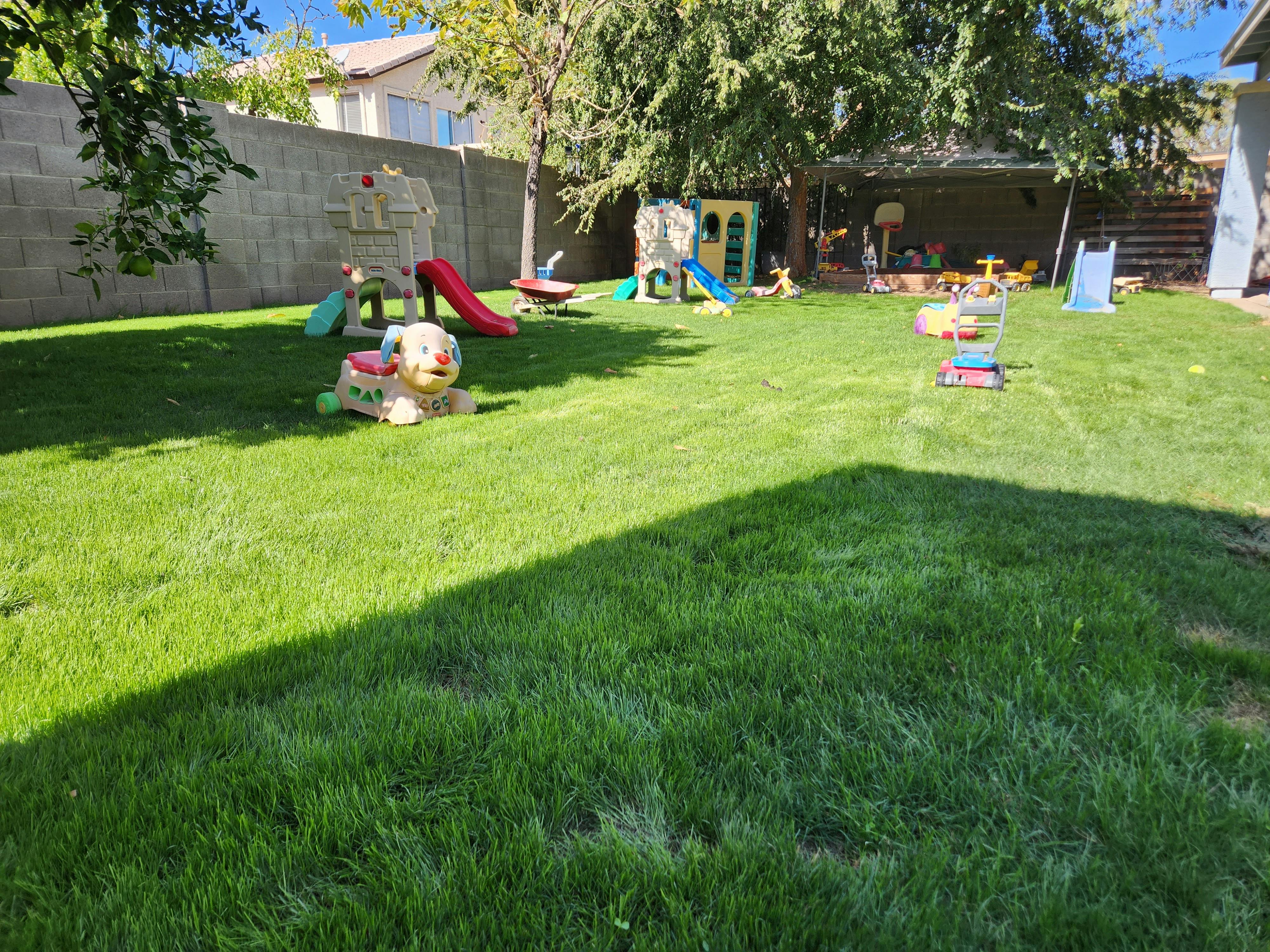 Backyard playground with slides and other play equipment on green grass