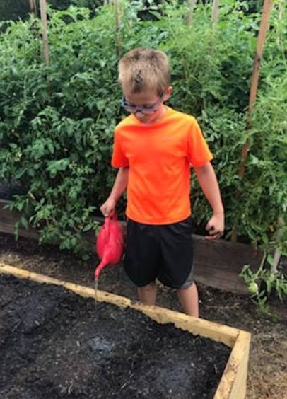 Child watering a garden bed with a red watering can