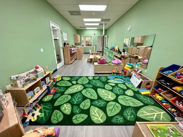 Playroom with green walls and a green rug with leaf patterns