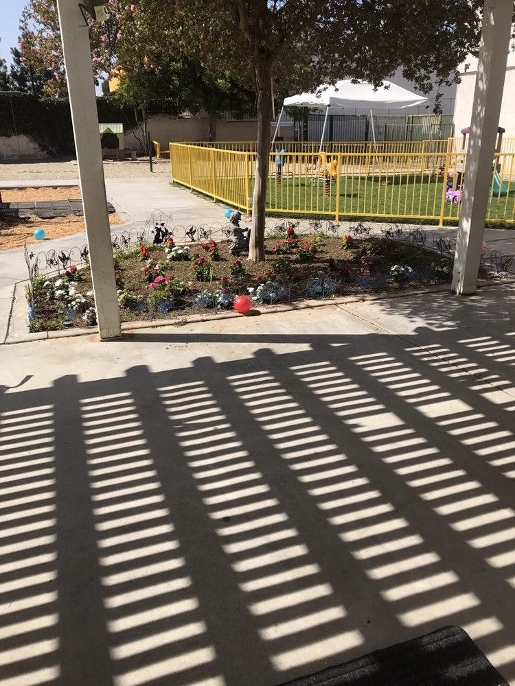 Shadows of a slatted roof on a concrete patio next to a garden