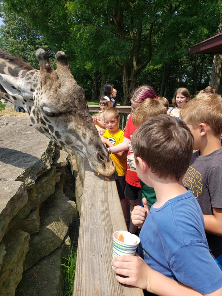 Giraffe eating from a child's hand at a wooden fence
