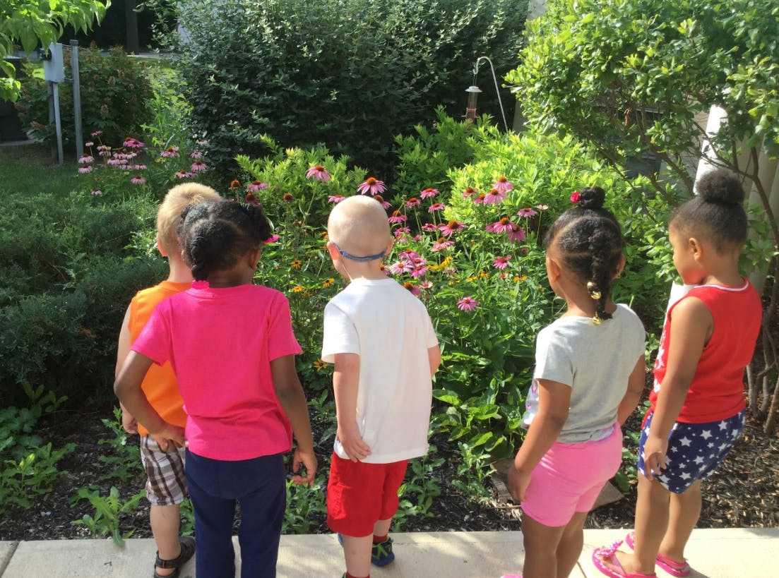 Five children looking at flowers in a garden