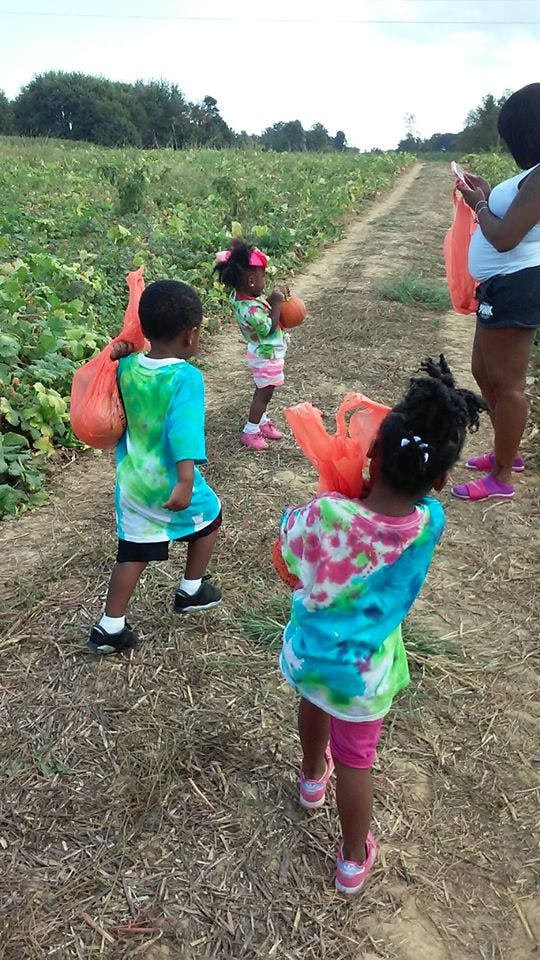 Children walking on a dirt path in a field, carrying pumpkins