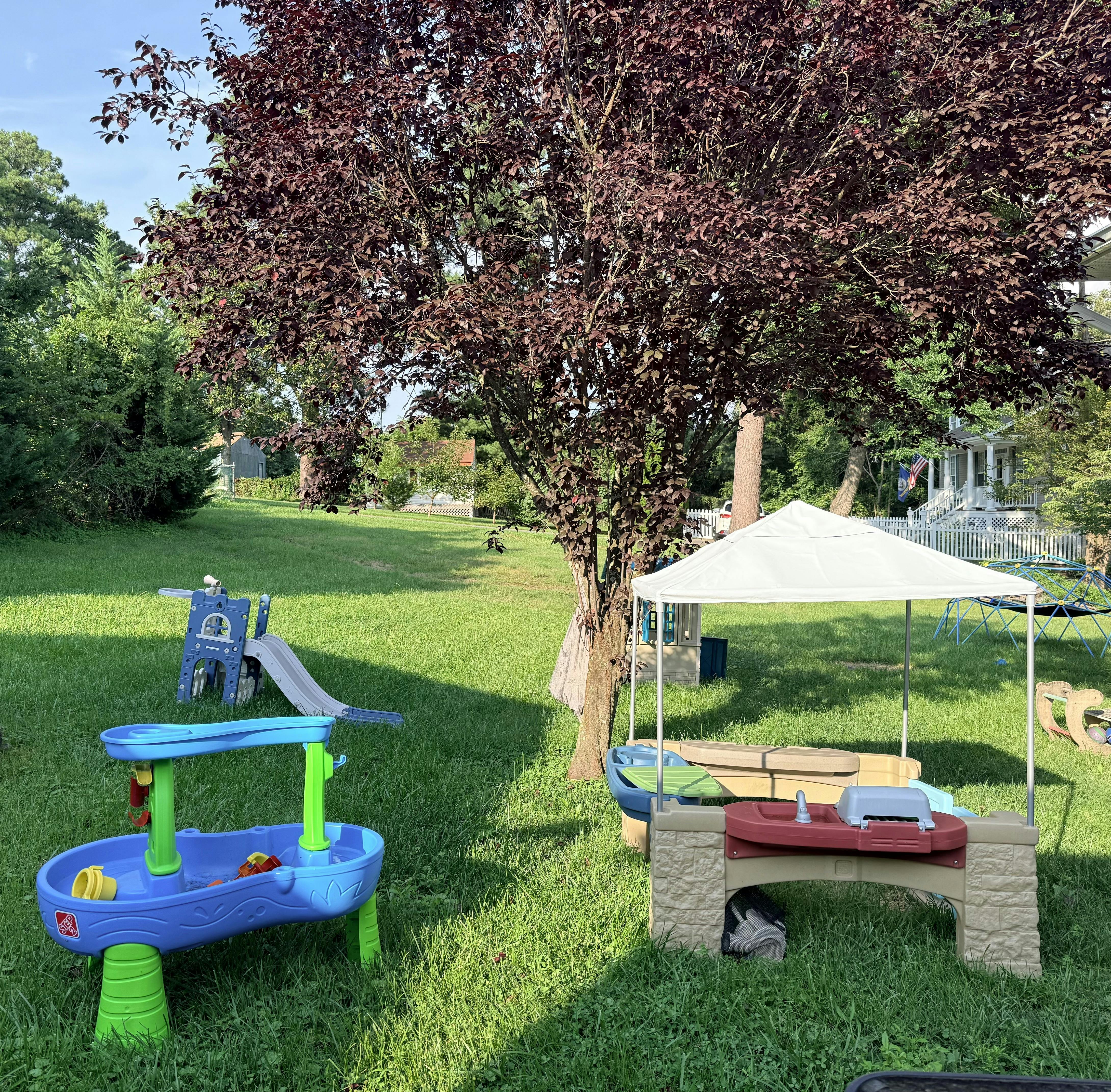 Plastic children's outdoor play equipment in a grassy backyard