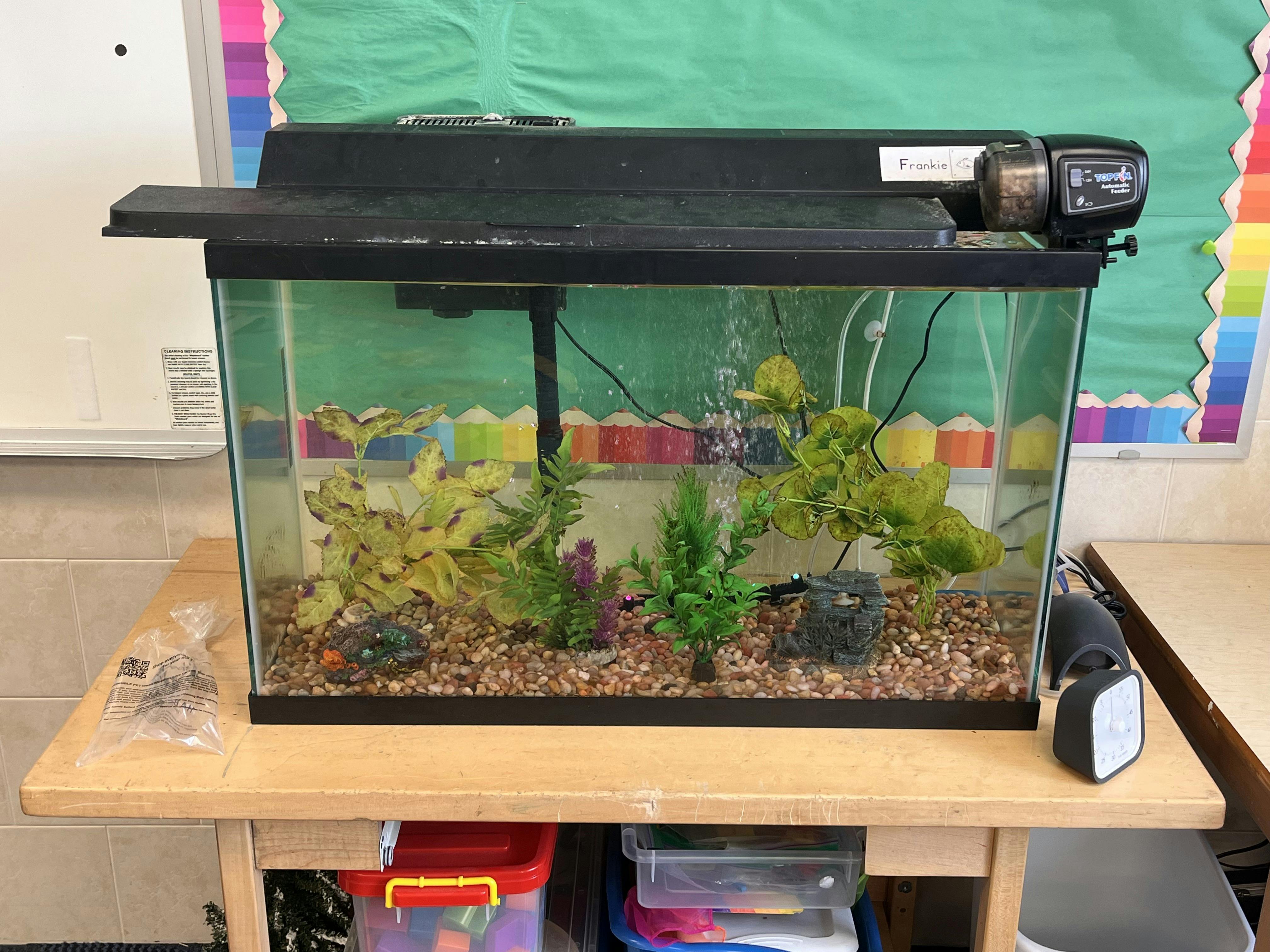 Fish tank with gravel, plants, and decorations on a wooden table