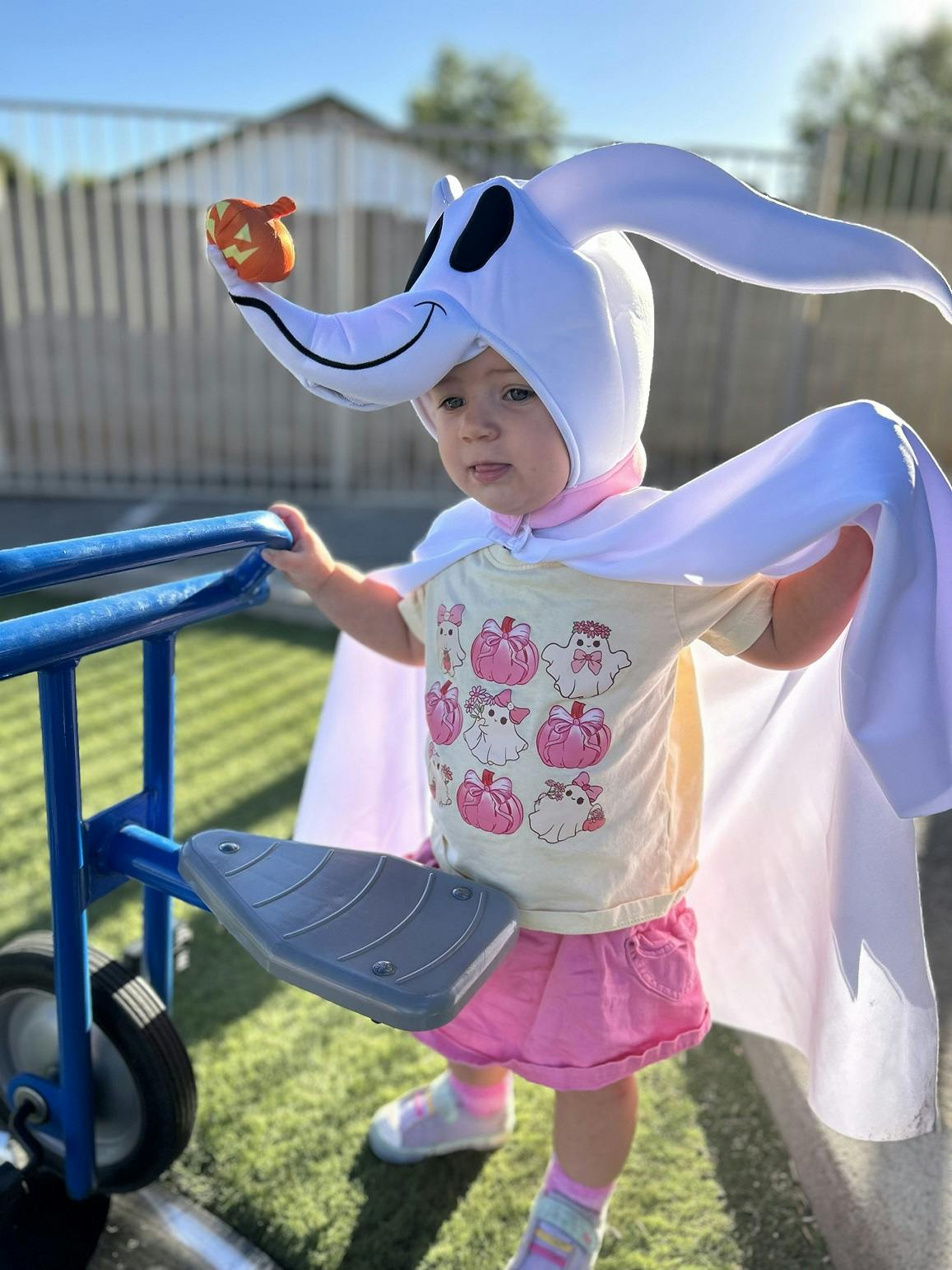 Child in a ghost dog costume holding a small pumpkin