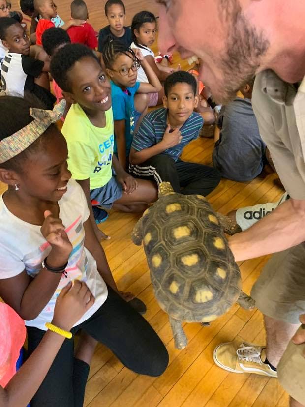 Adult showing a turtle to children