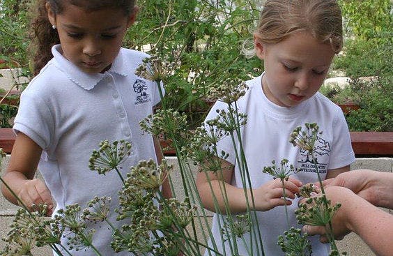 Hill Country Montessori School in Boerne, TX