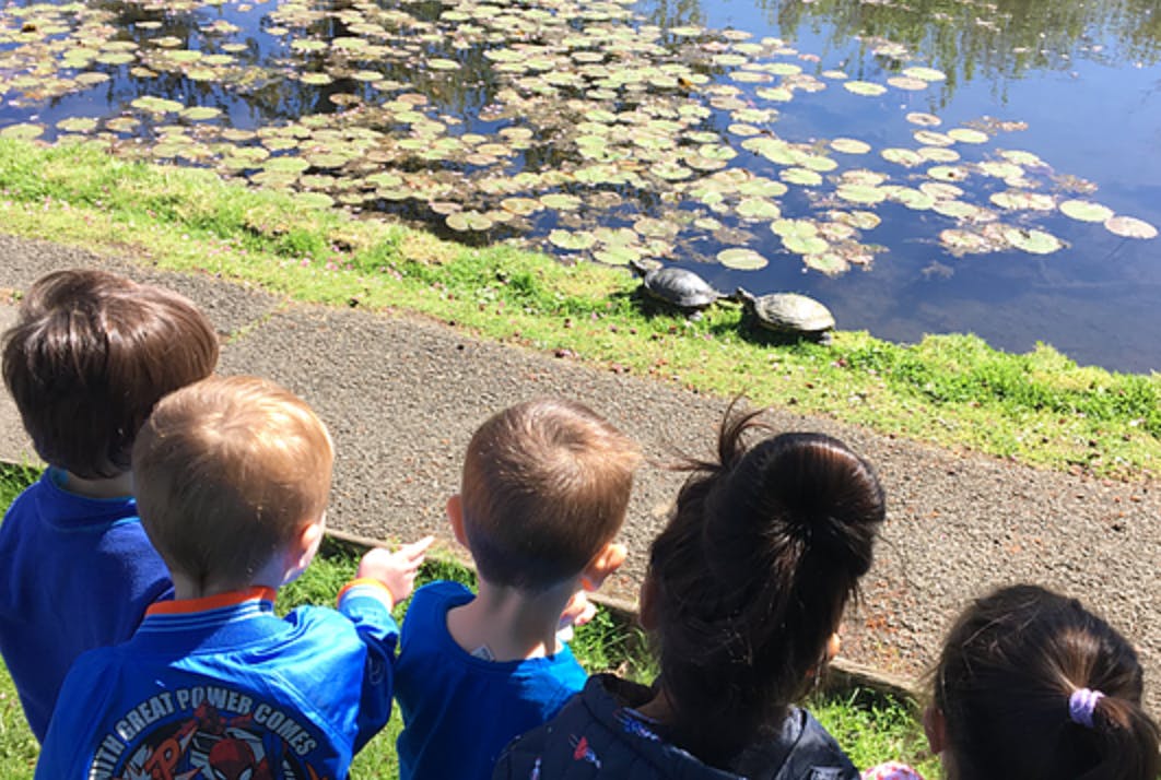 Children looking at turtles by a pond with lily pads