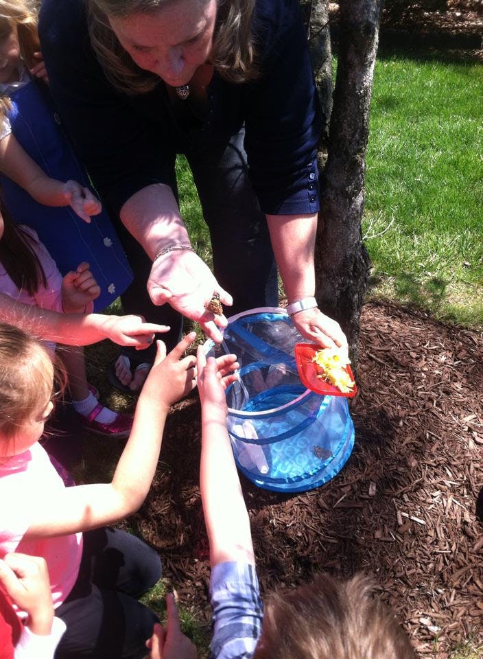 Person showing a small animal to children
