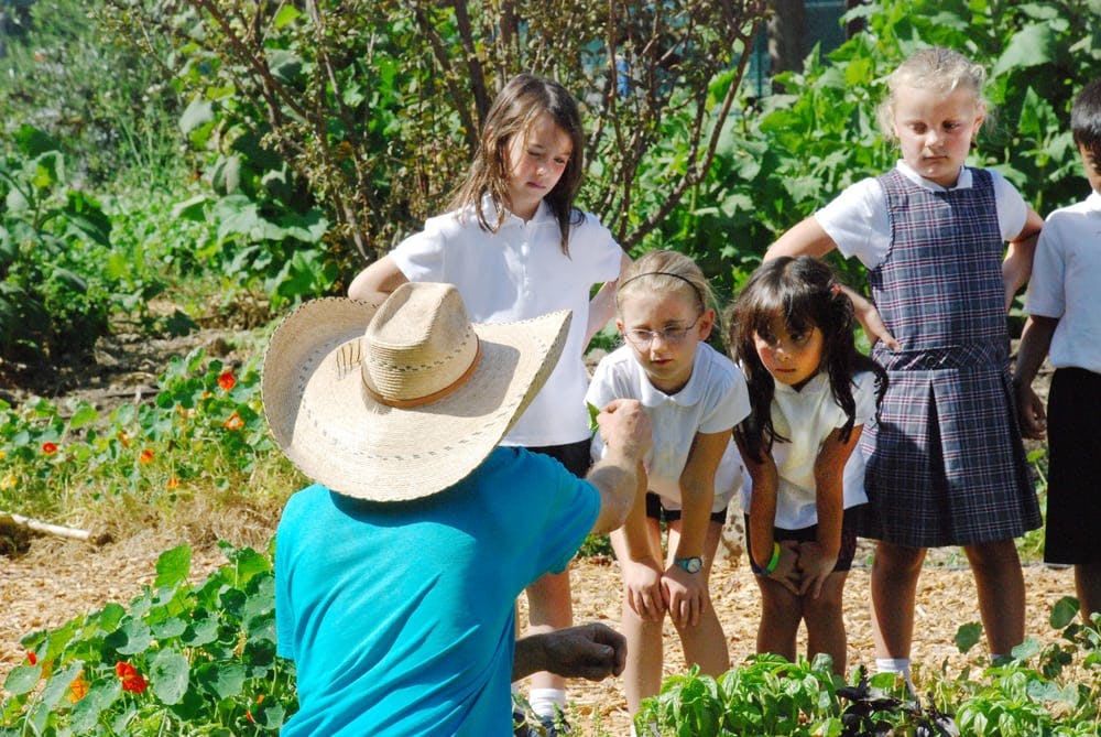 Person in hat with children in a garden