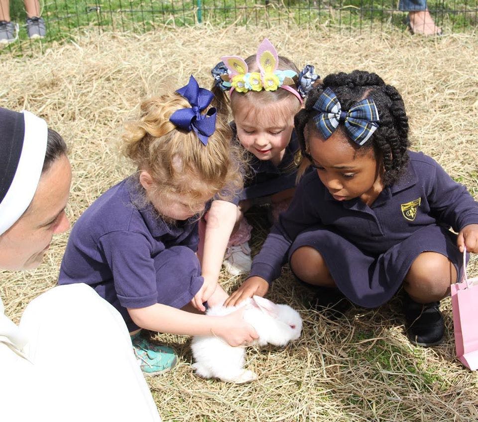 Children and an adult petting a white rabbit on hay