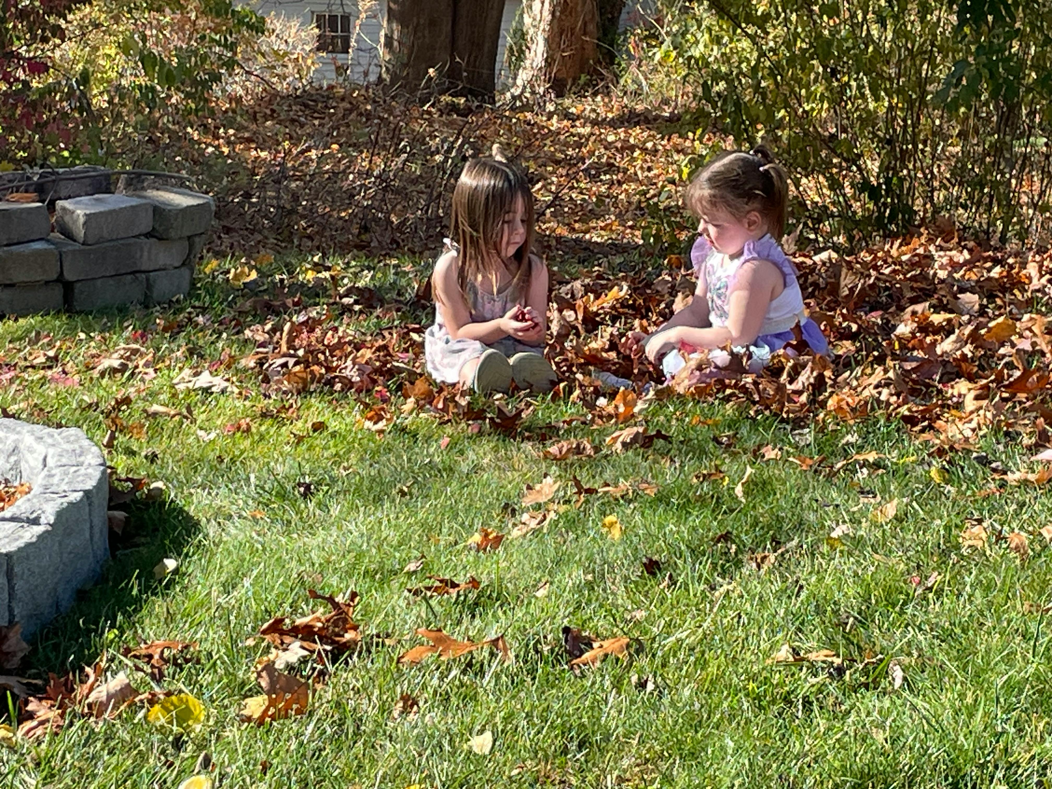 Two children sitting in a pile of autumn leaves