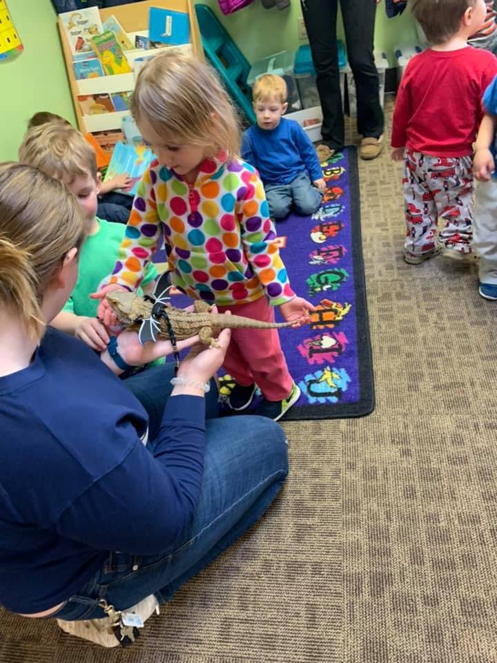 Adult holding a lizard while a child reaches out to touch it