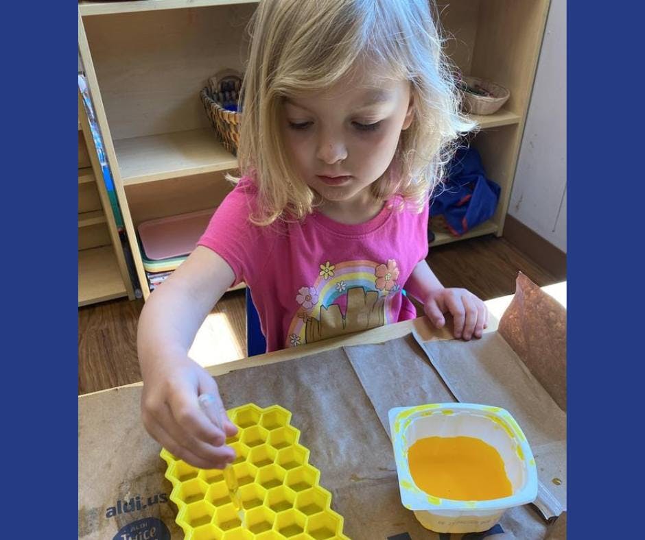 Child working with a yellow honeycomb tray and a bowl of yellow liquid