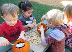 Children scooping seeds from pumpkins
