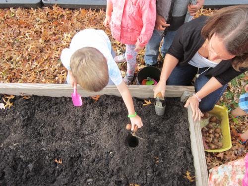 Adult and child planting in a raised garden bed