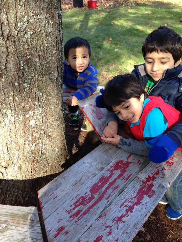 Three children playing outdoors near a tree and a wooden plank