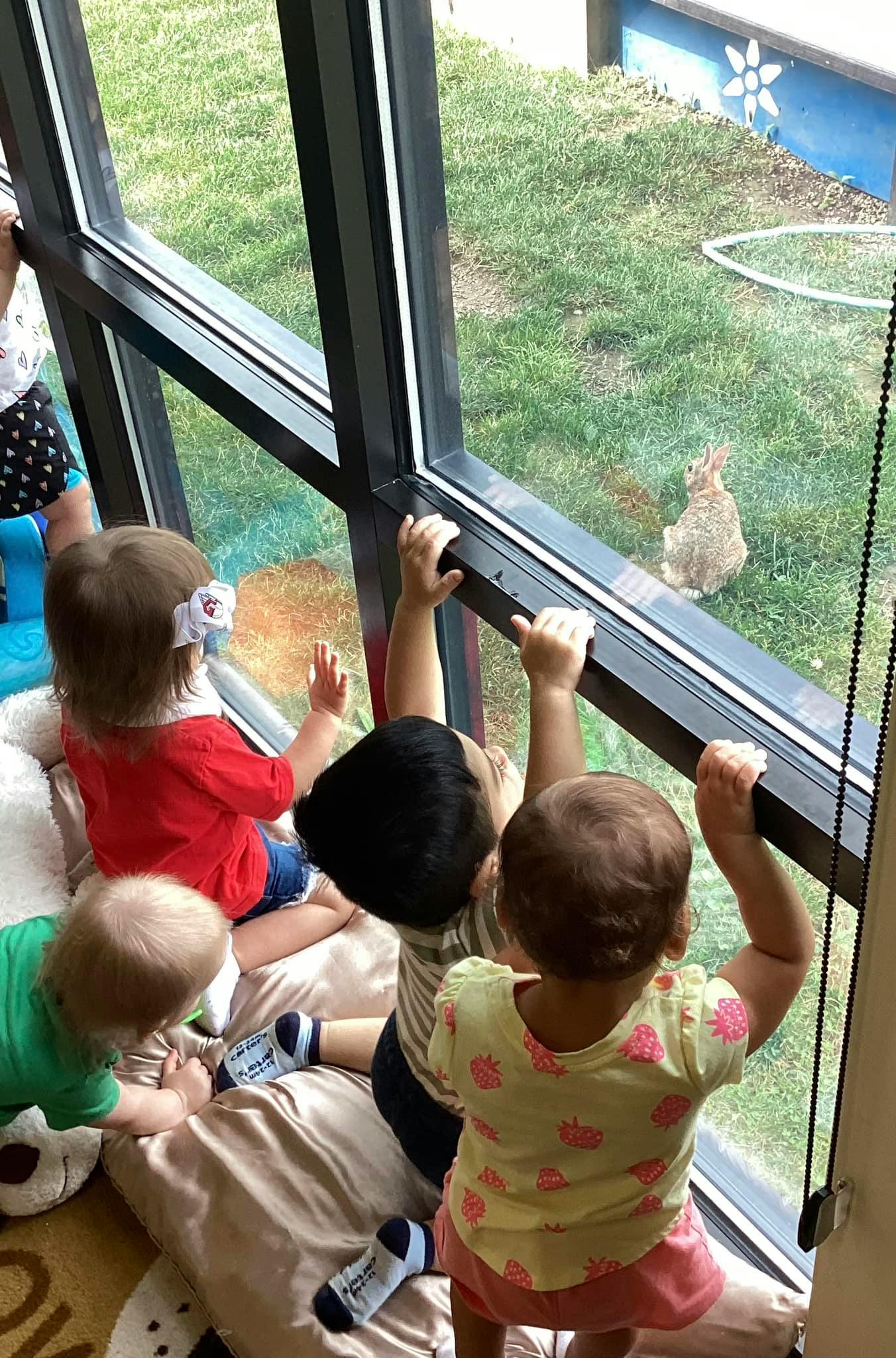 Children looking out a window at a rabbit in the grass
