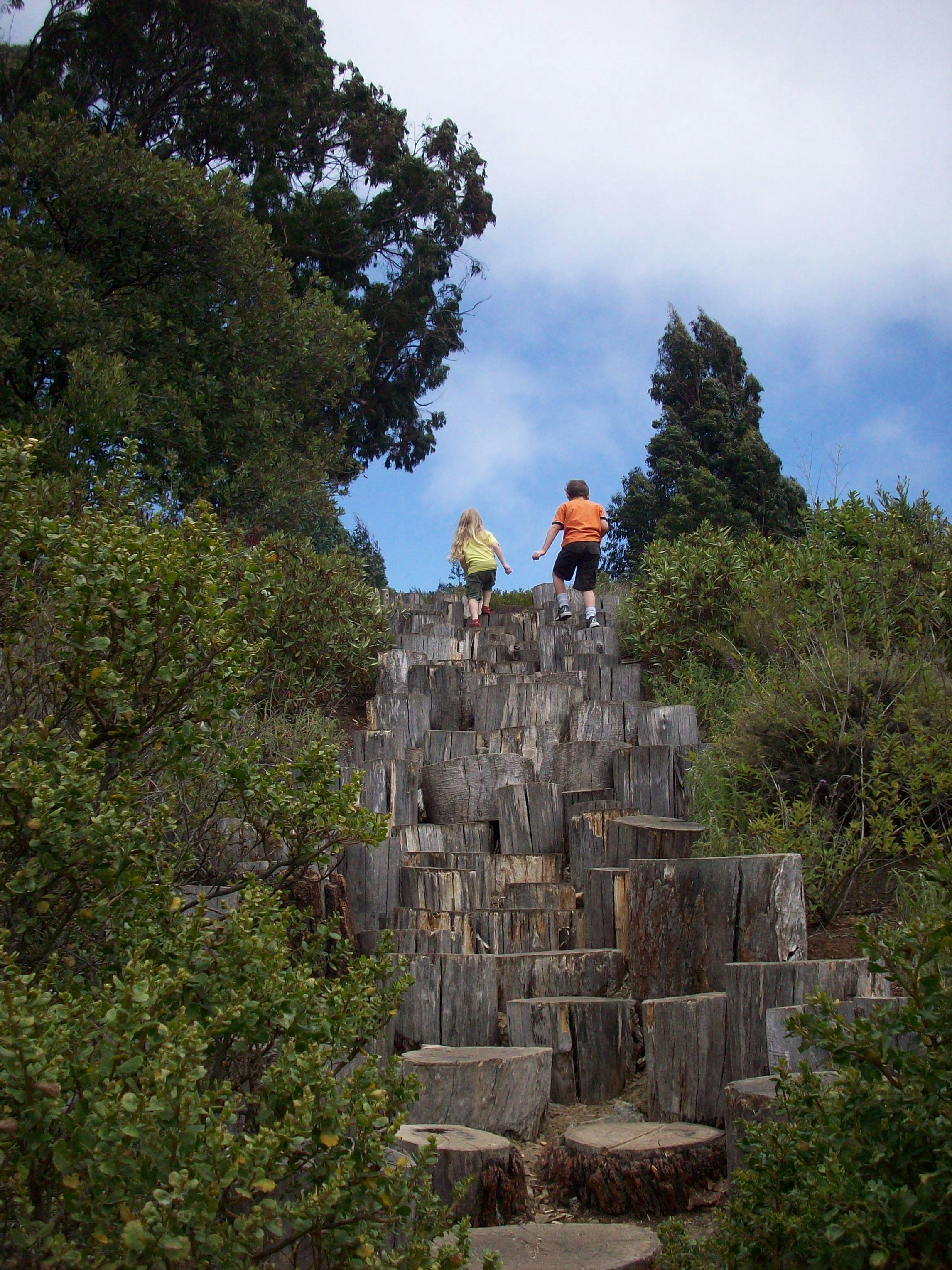 Two children climbing up a hill made of tree stumps