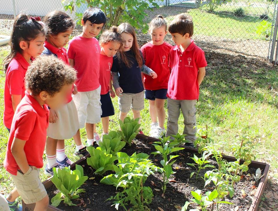 Children gathered around a garden bed with plants