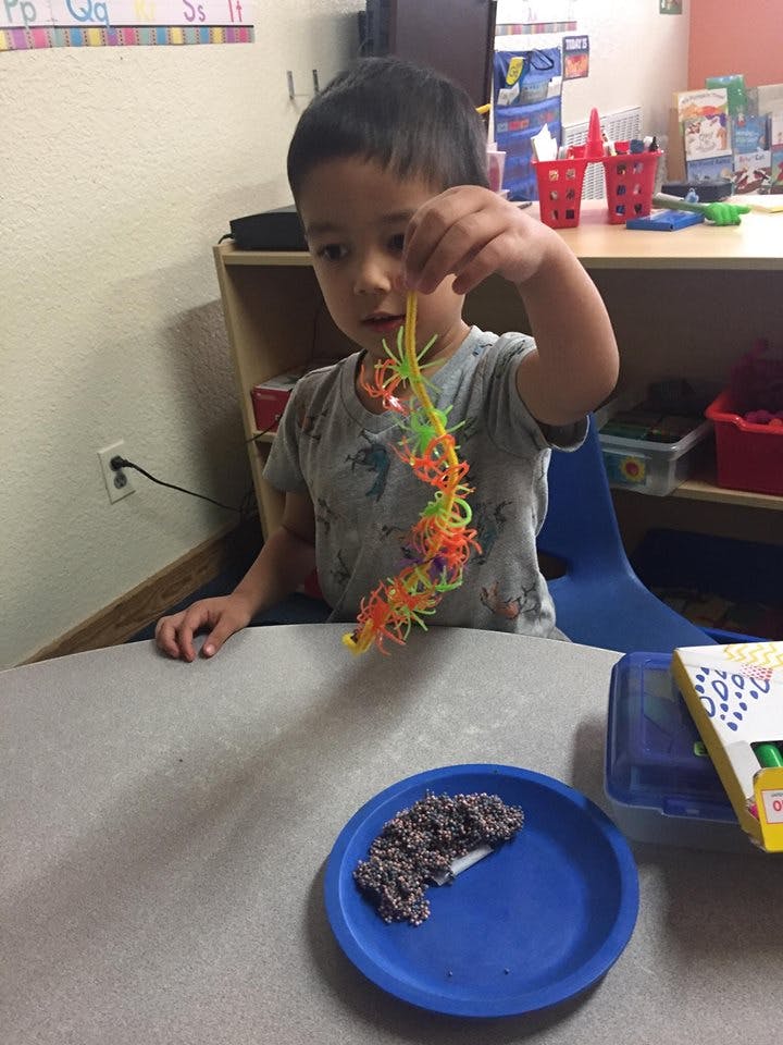 Child holding a colorful toy over a blue plate with food