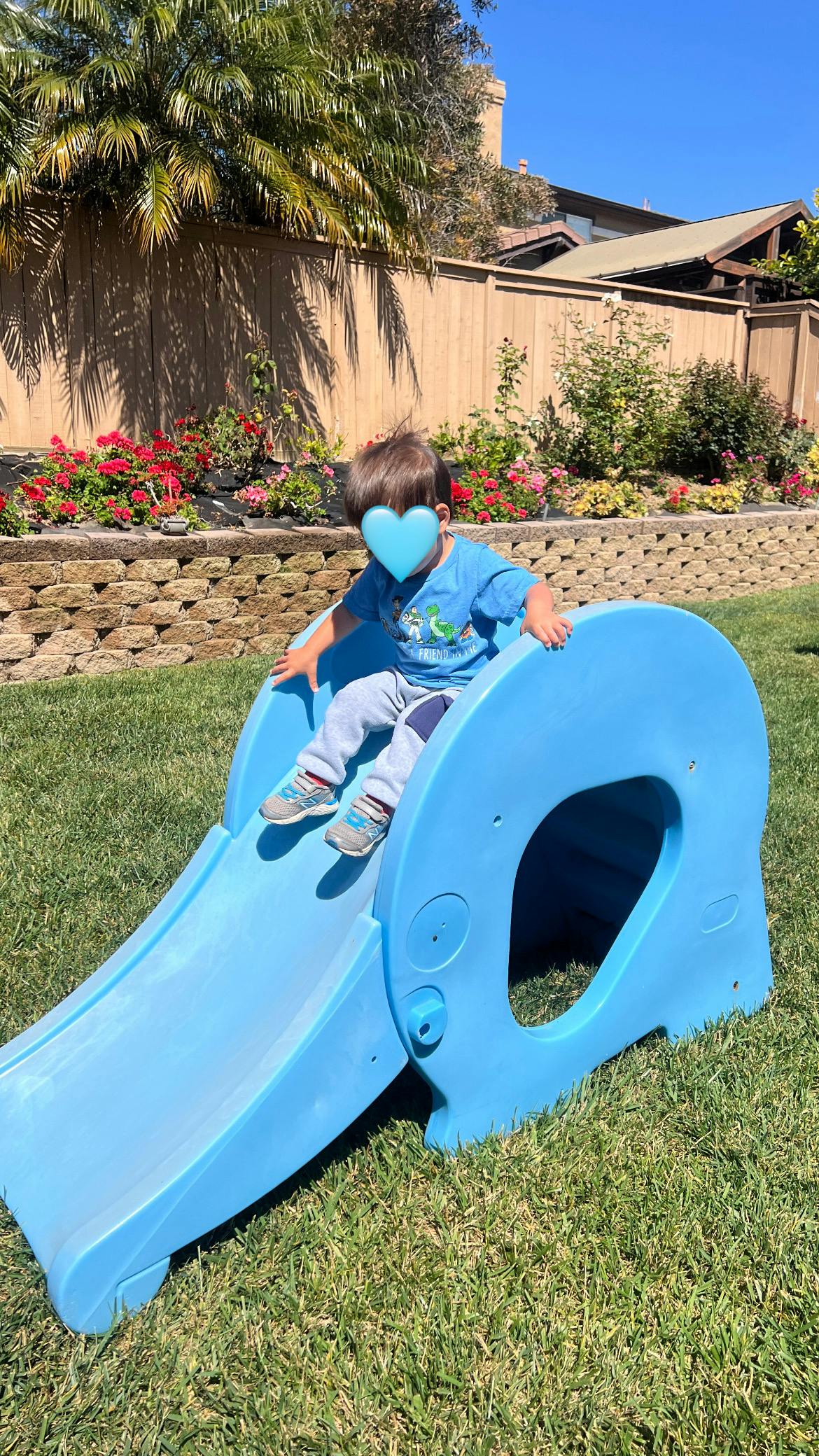 Child on a blue plastic slide in a grassy yard