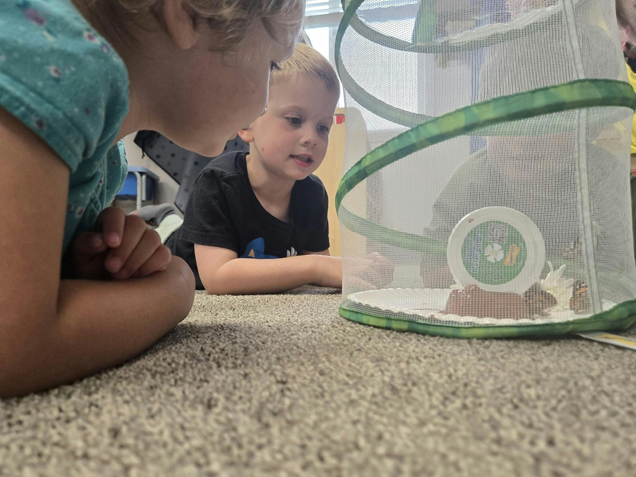 Two children looking at an insect habitat on the floor