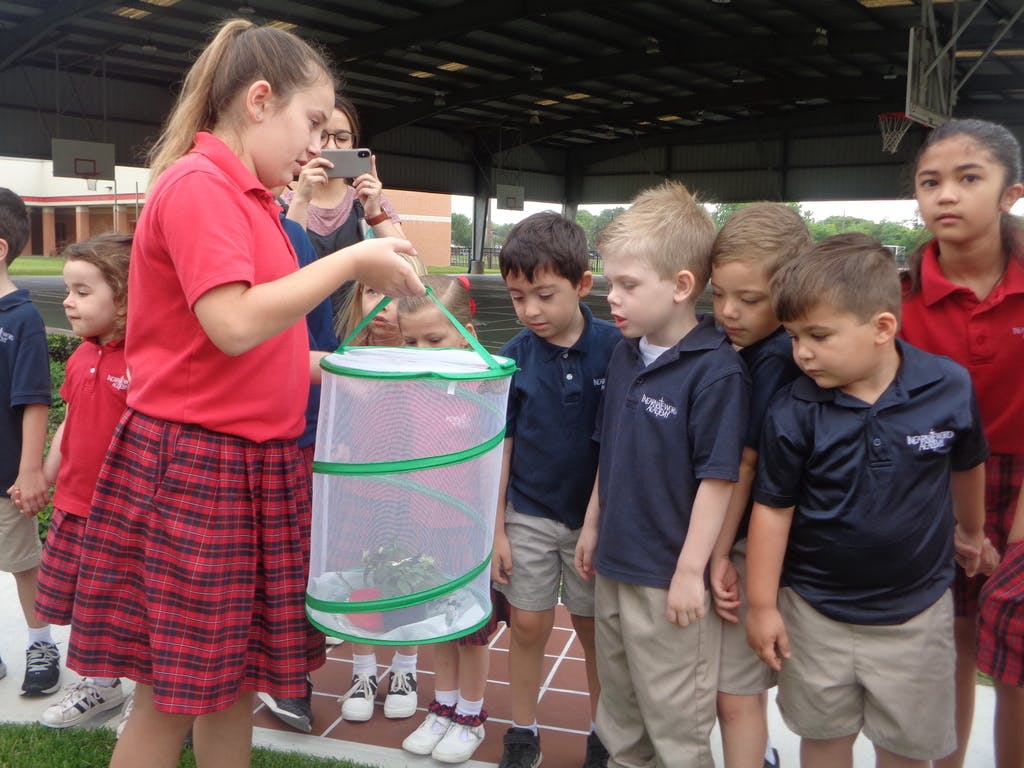 Incarnate Word Academy Preschool in Corpus Christi, TX Winnie