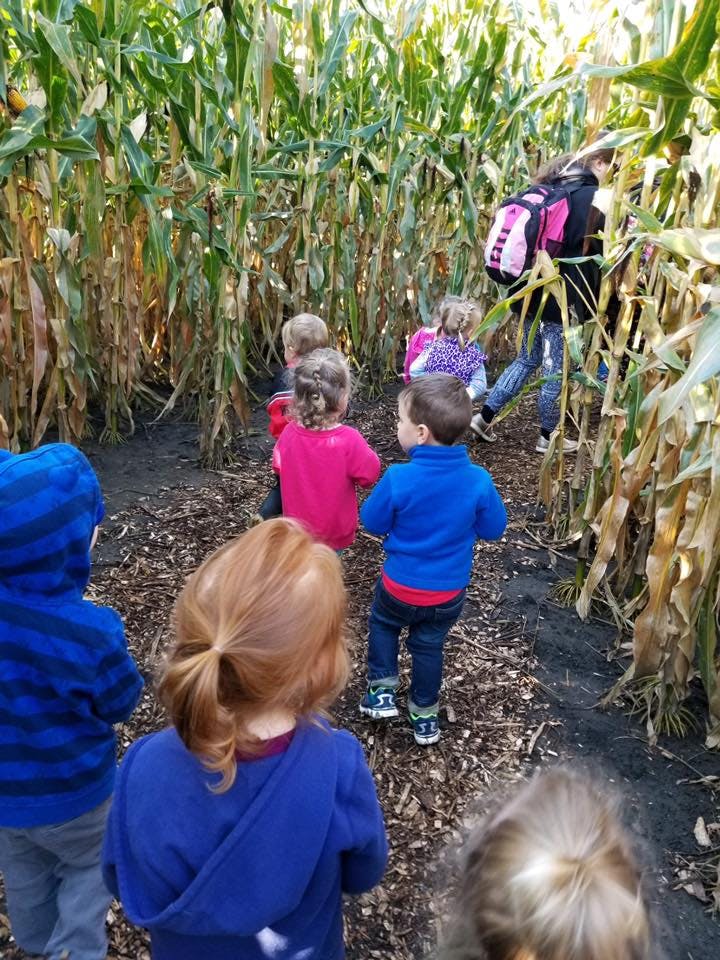 Children and an adult walking through a corn maze