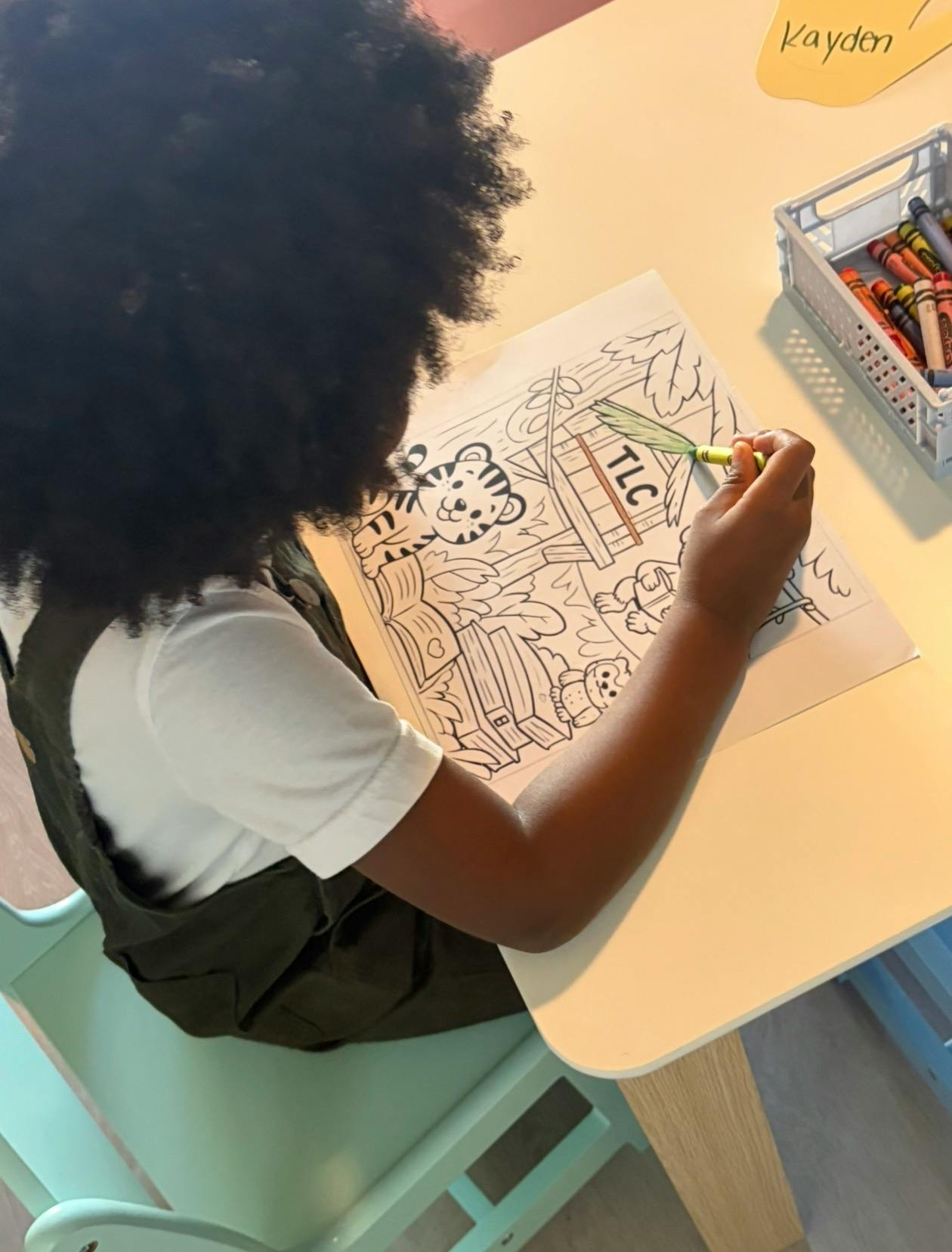 Child coloring an image of a tiger and a treehouse with the text TLC