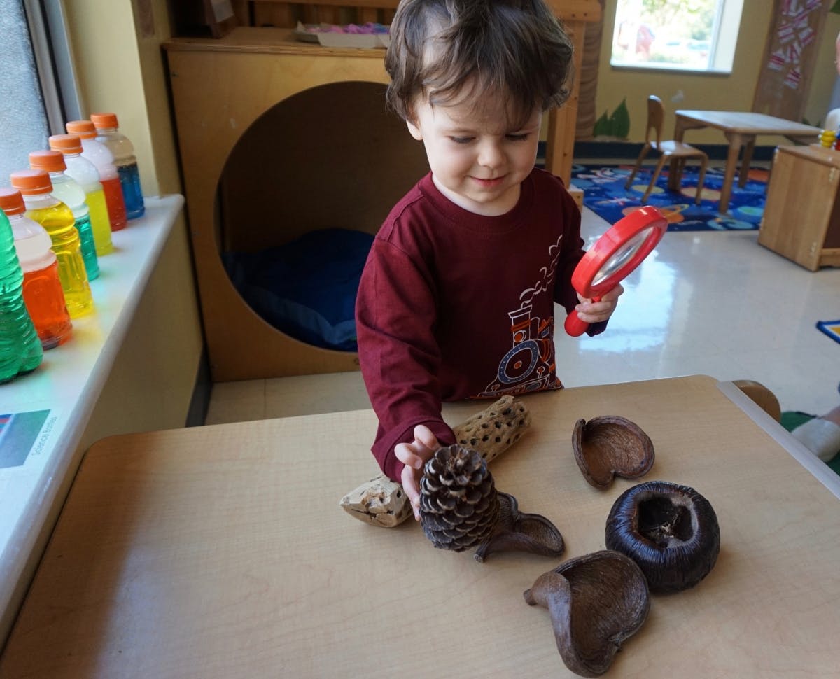 Child holding a pinecone and a magnifying glass in a classroom