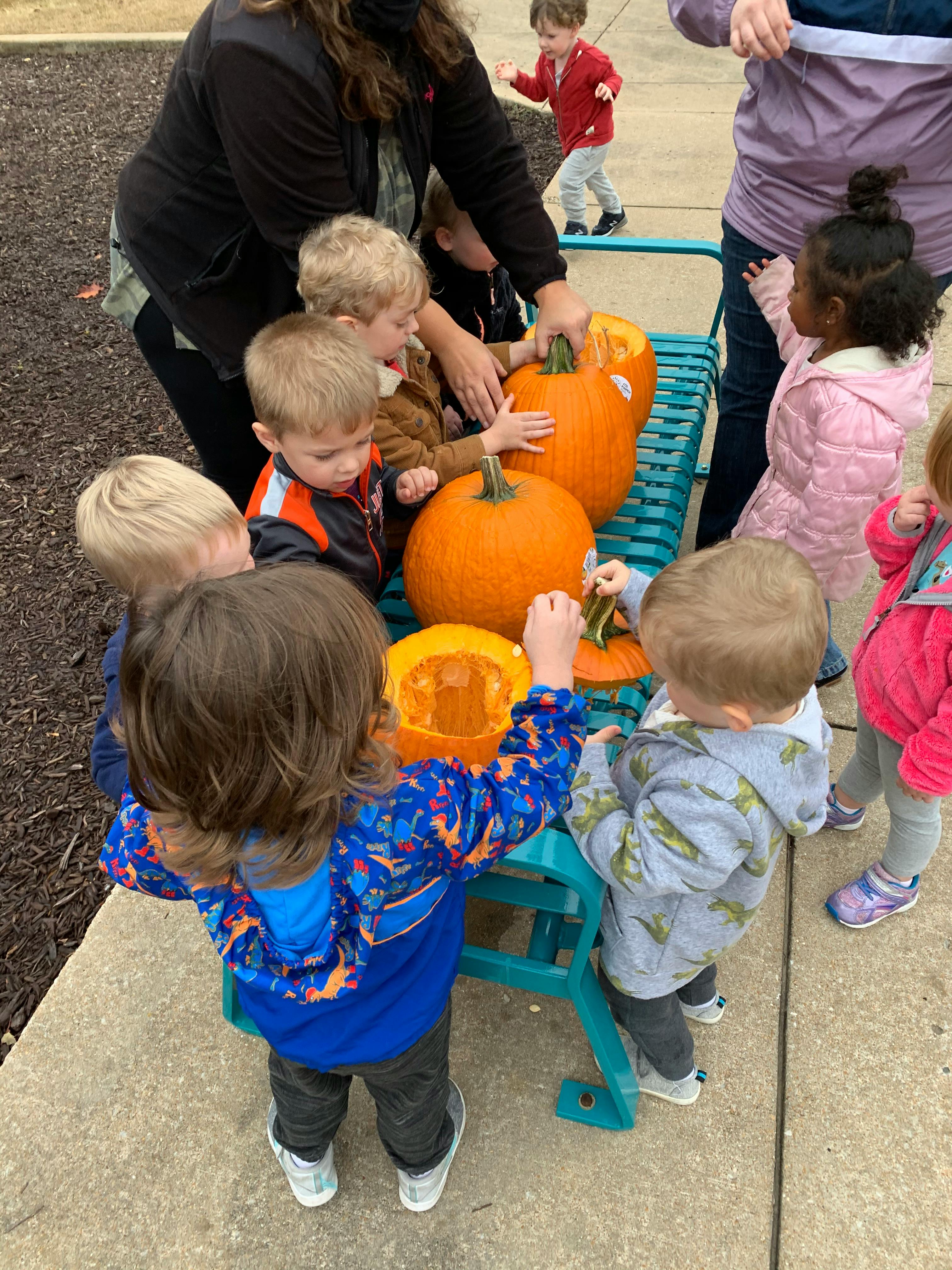 Group of children cleaning pumpkins on a bench