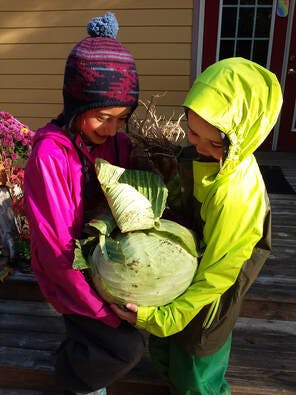 Two children holding a large cabbage