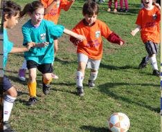 Children playing soccer on a grassy field