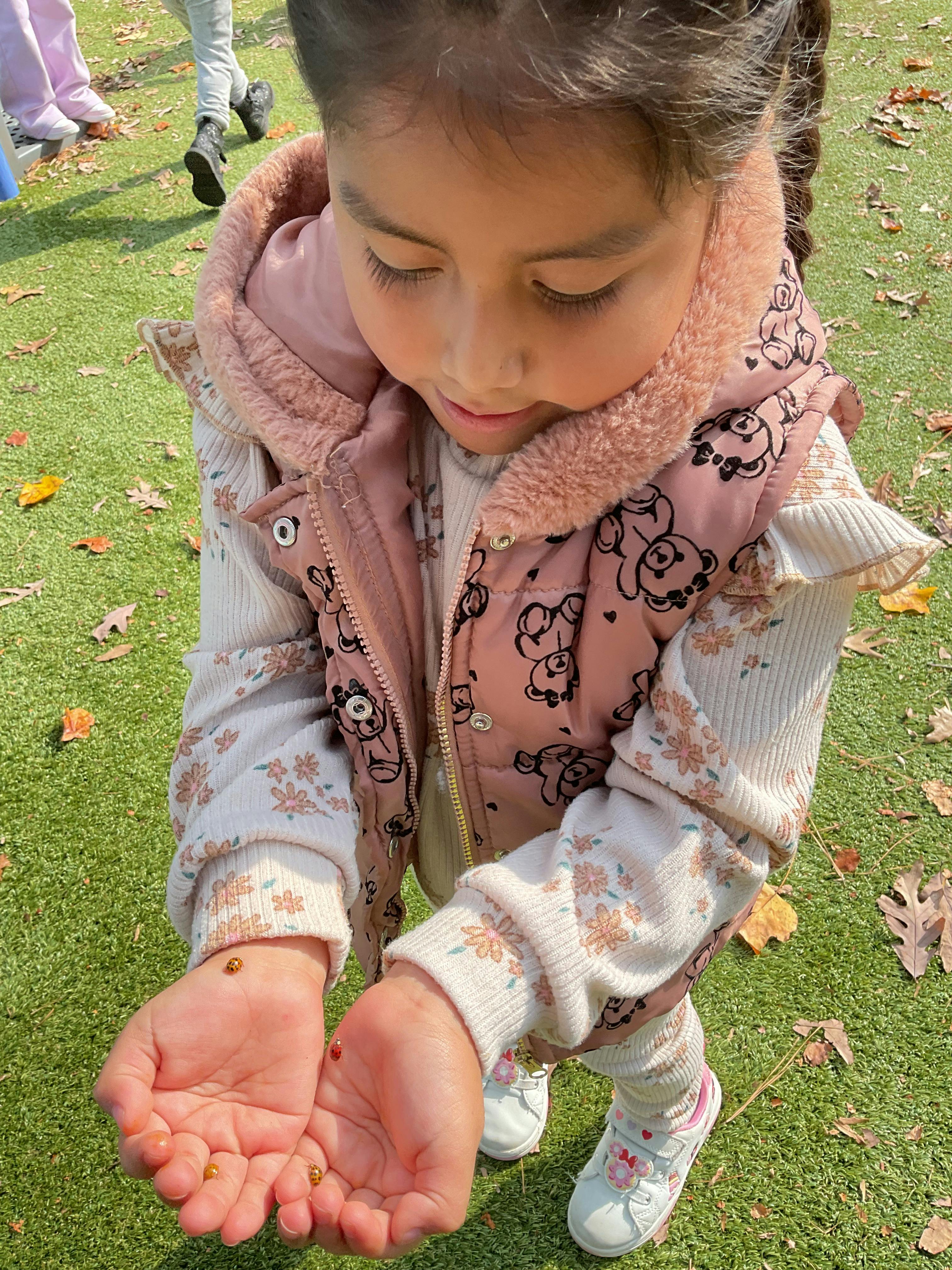 Child looking down at ladybugs on their open hands