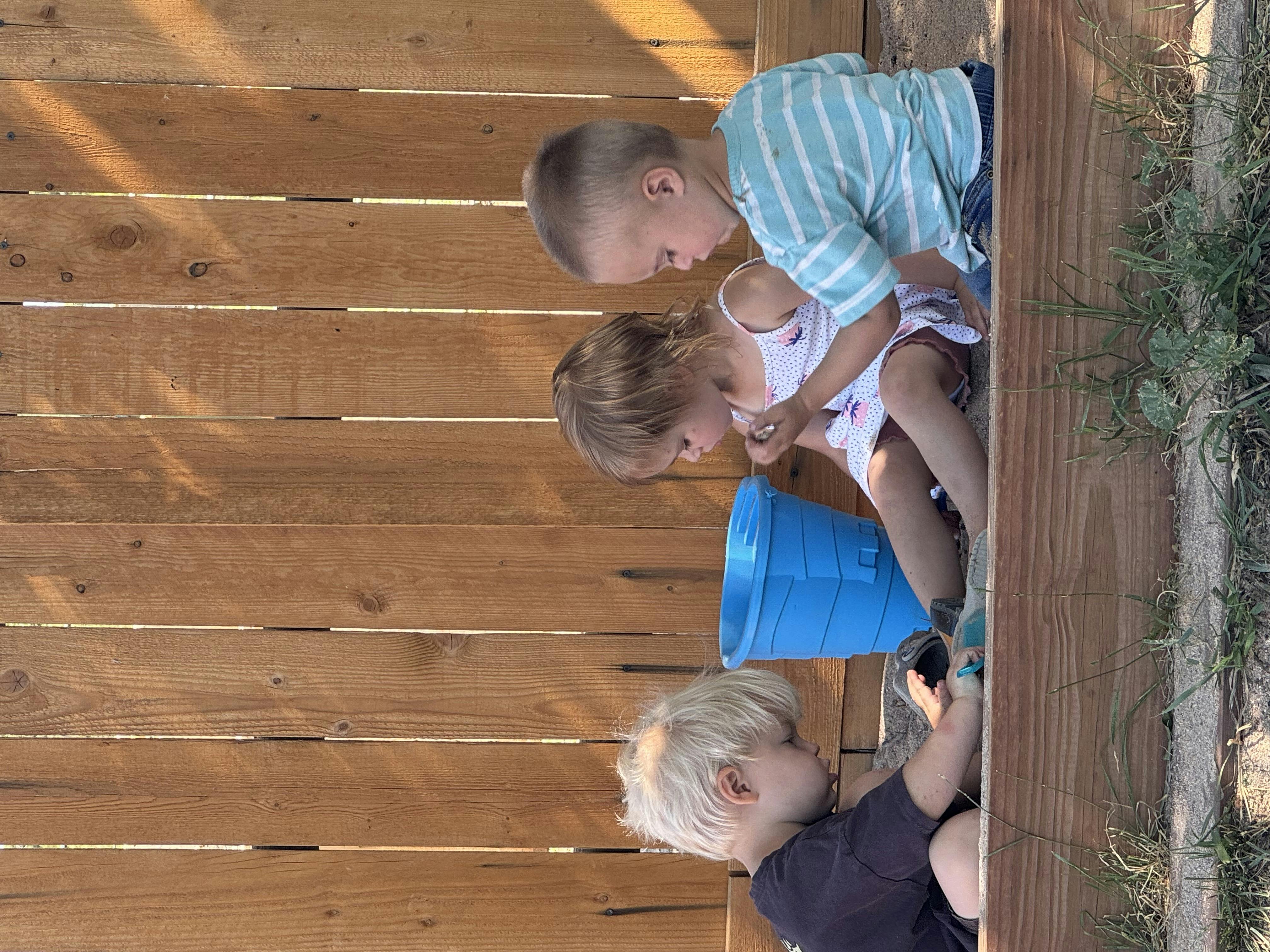 Three children looking into a blue bucket