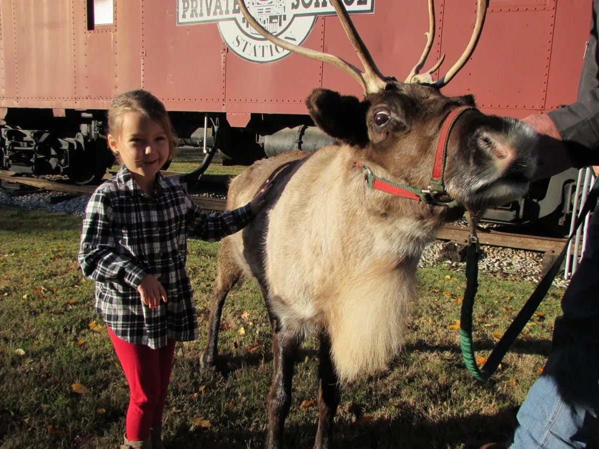 Child standing next to a reindeer