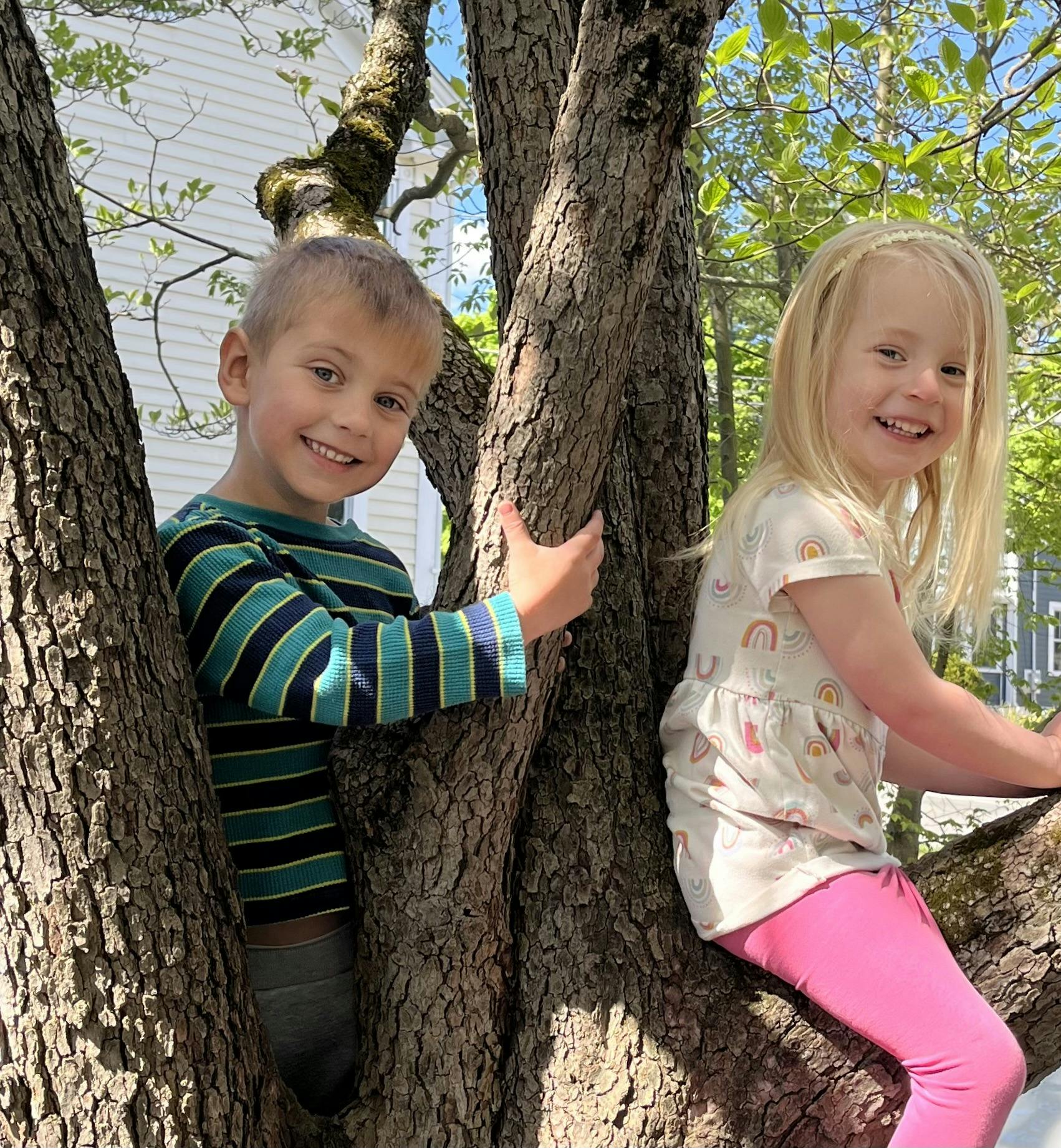 Two children sitting in the branches of a tree