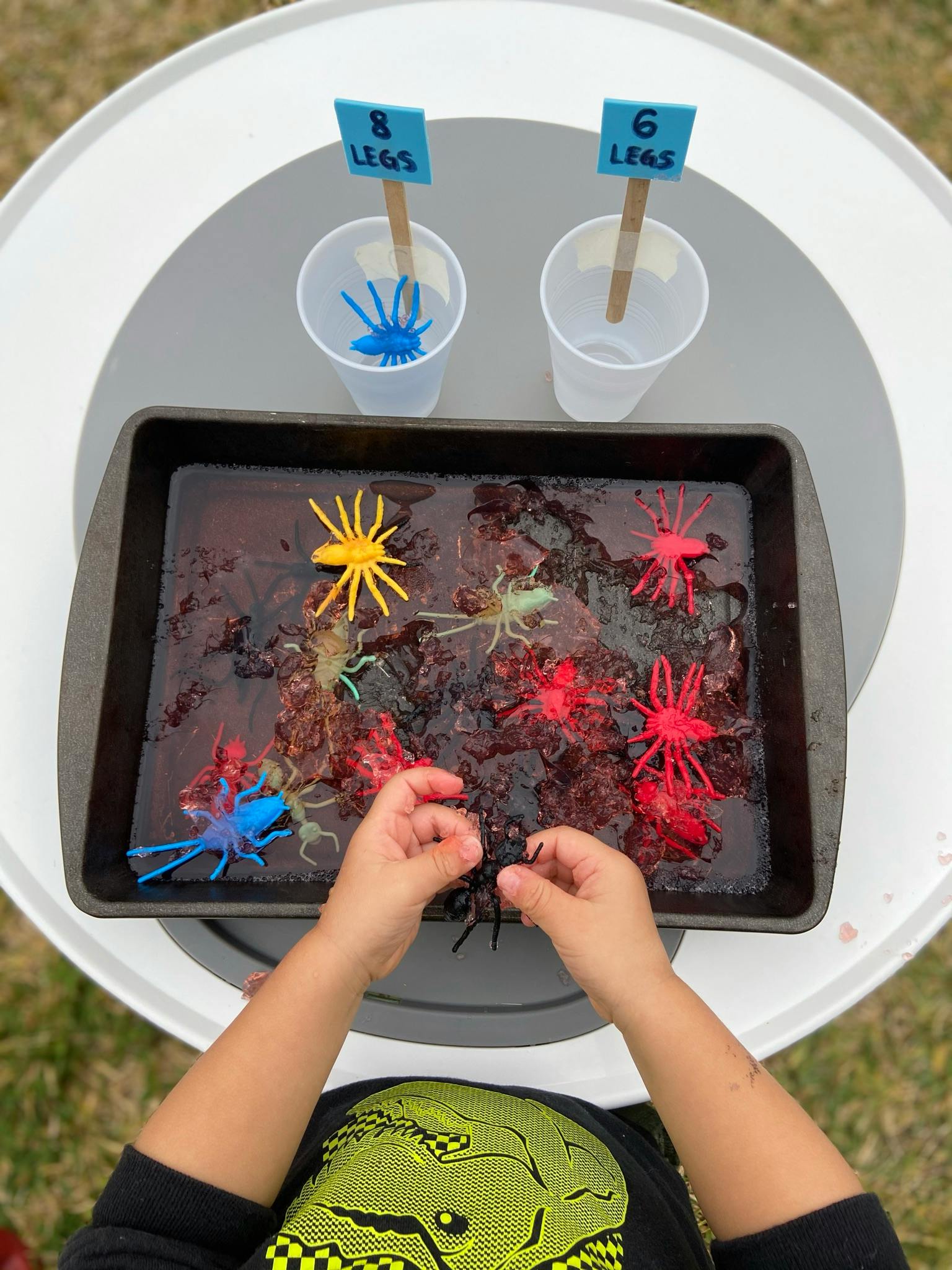 Child sorting toy spiders and insects into cups labeled "8 legs" and "6 legs"