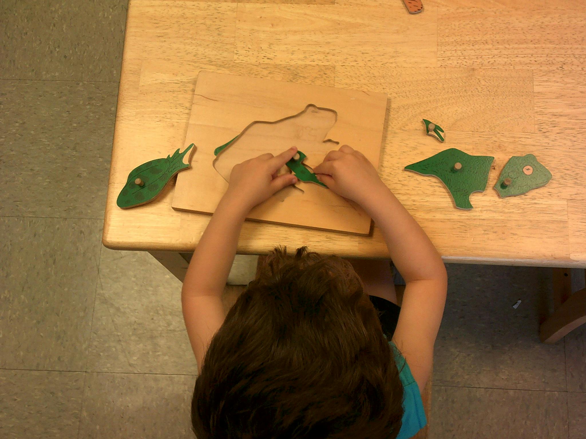 Child playing with a wooden dinosaur puzzle