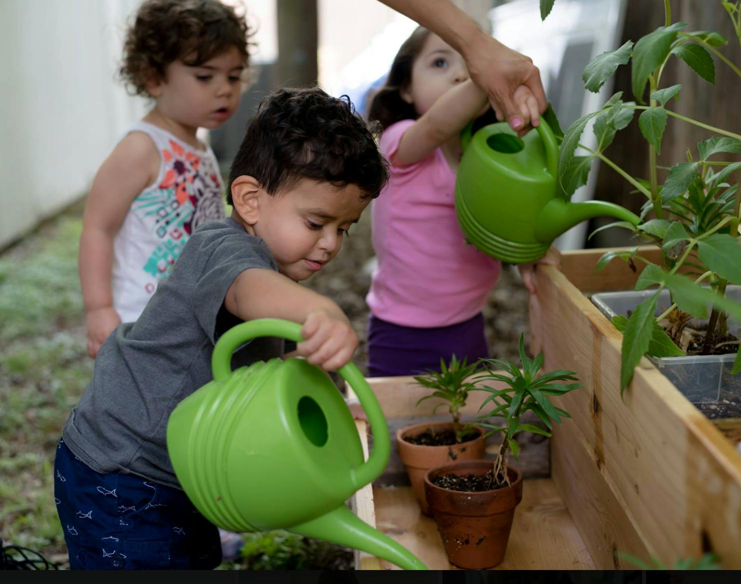 Children watering plants with green watering cans