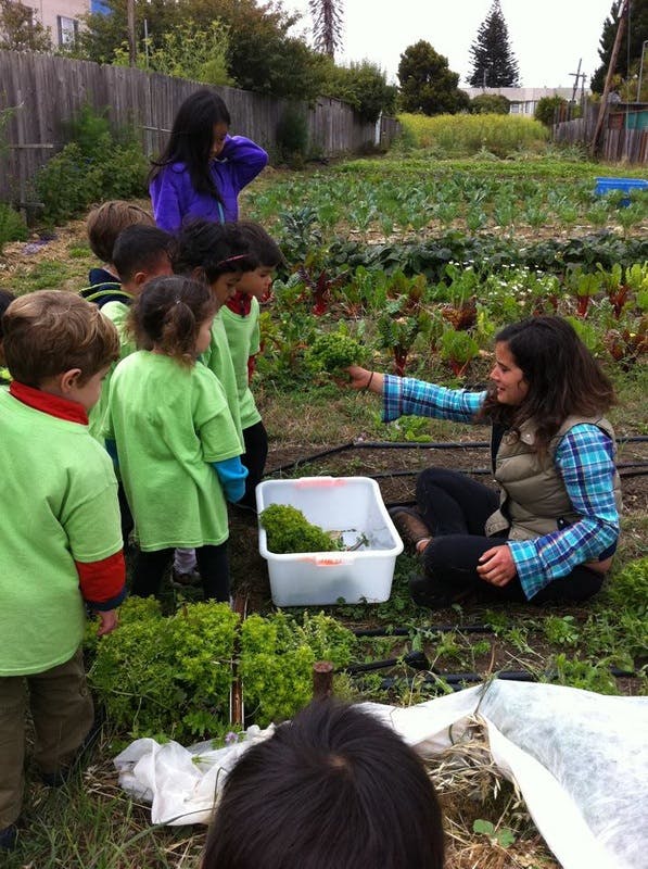 Little Panda Preschool and Daycare - Preschool in San Francisco, CA